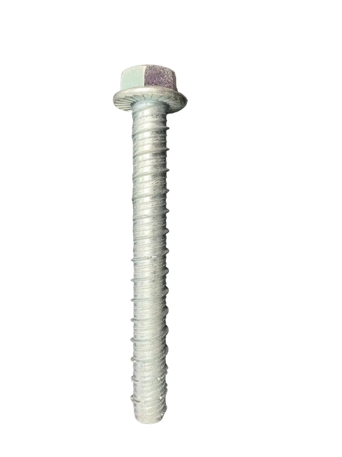 1/2" Stainless Steel Concrete Bolt (Sup-R) 1
