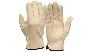 Grain Pigskin Leather Driver Gloves - Box Of 12 1