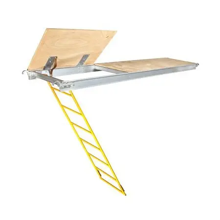 Platform With Trapdoor And Ladder 1